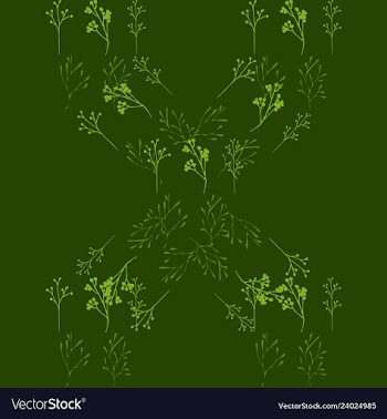 Floral seamless pattern vector image