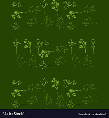 Floral seamless pattern vector image