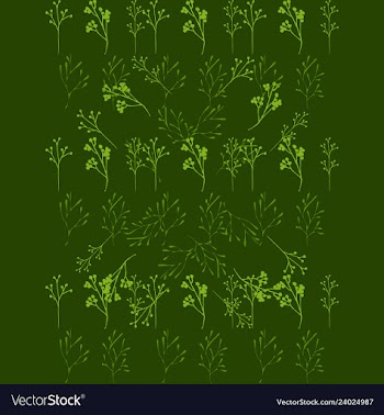 Floral seamless pattern vector image