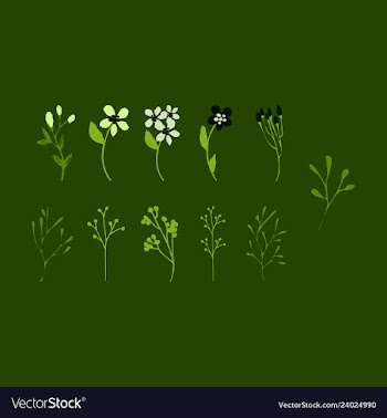 Floral seamless pattern vector image