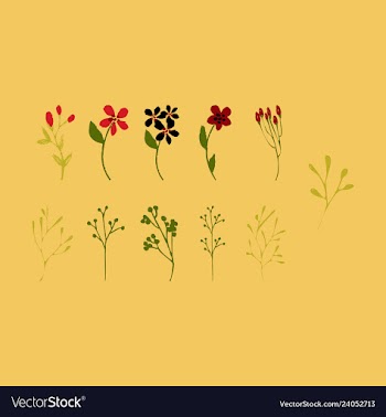Floral seamless pattern vector image