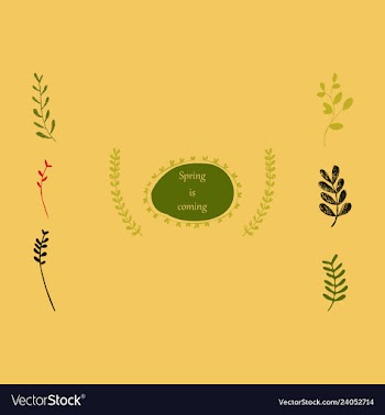 Floral seamless pattern vector image
