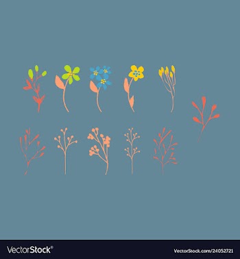 Floral seamless pattern vector image