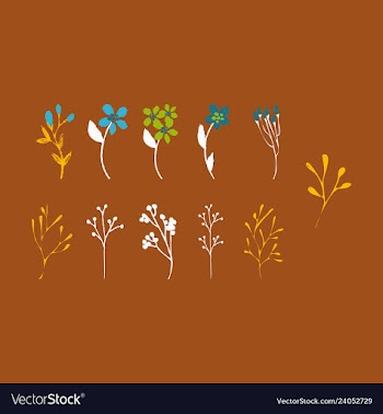 Floral seamless pattern vector image