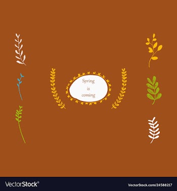 Floral seamless pattern vector image