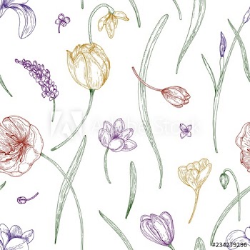 Floral seamless pattern with beautiful blooming garden flowers drawn with colored contour lines on white background