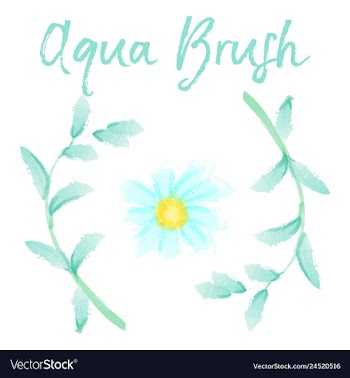 Floral set colorful floral collection with leaves vector image