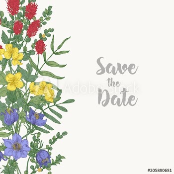 Floral square Save The Date card template decorated with border consisted of gorgeous wild blooming meadow flowers and flowering herbs on white background
