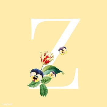 Floral styled letter Z typography | Free stock vector - 564201