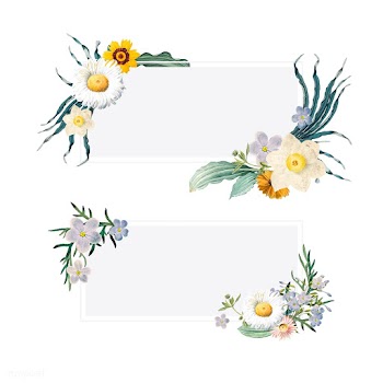 Floral summer banners | Free stock vector - 544950