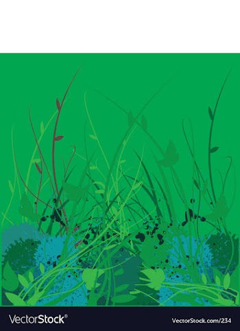 Floral vine garden vector image