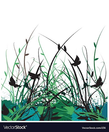 Floral vine garden vector image
