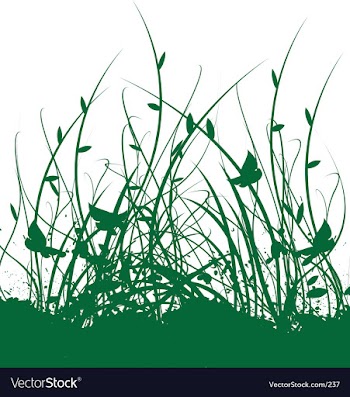 Floral vine garden vector image