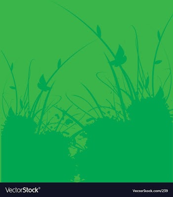 Floral vine vector image