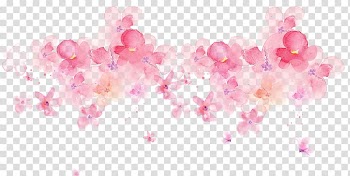Floral , Watercolor painting Ink, Beautiful delicate watercolor flowers Peach Ink transparent background PNG clipart