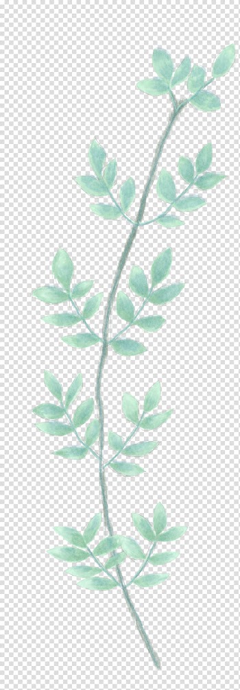 Floral Watercolor s, green plant illustration transparent background PNG clipart