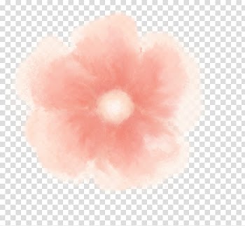 Floral Watercolor s, peach flower in bloom illustration transparent background PNG clipart