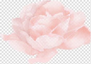 Floral Watercolor s, pink peony flower art transparent background PNG clipart