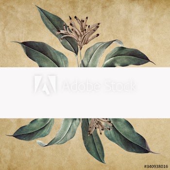 Floral white banner
