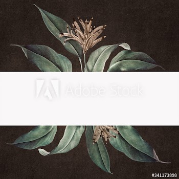 Floral white banner