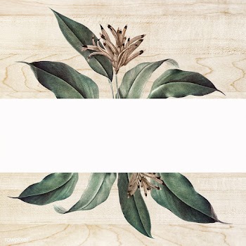 Floral white banner | Free stock illustration - 595379