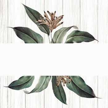 Floral white banner | Free stock illustration - 595388