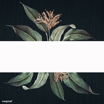 Floral white banner | Free stock illustration - 595417