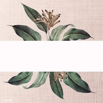 Floral white banner | Free stock illustration - 595423