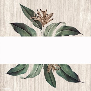 Floral white banner | Free stock illustration - 595449