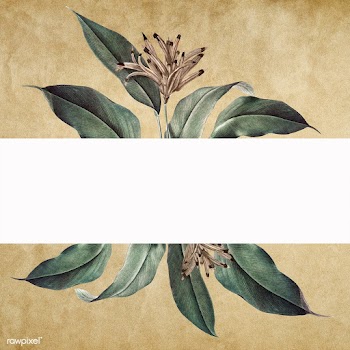 Floral white banner | Free stock illustration - 595496