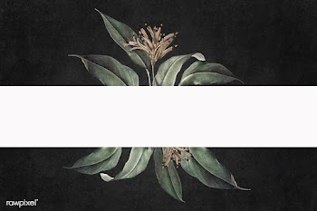Floral white banner | Free stock vector - 595384