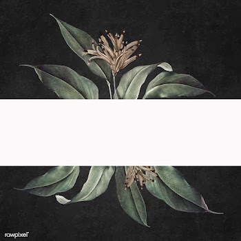 Floral white banner | Free stock vector - 595396