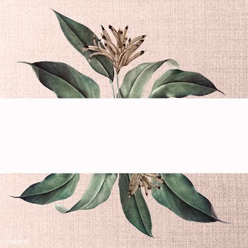 Floral white banner | Free stock vector - 595398