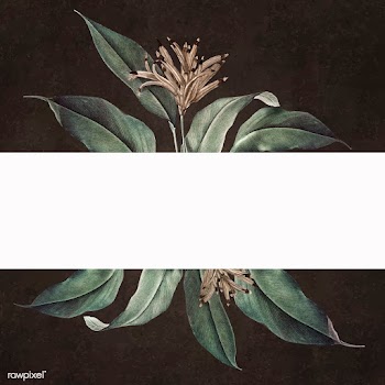 Floral white banner | Free stock vector - 595402