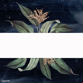 Floral white banner | Free stock vector - 595405