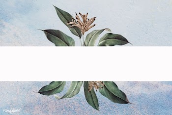 Floral white banner | Free stock vector - 595407