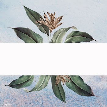 Floral white banner | Free stock vector - 595409