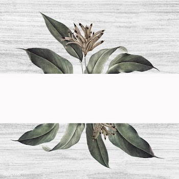 Floral white banner | Free stock vector - 595415