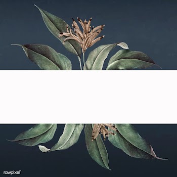 Floral white banner | Free stock vector - 595443