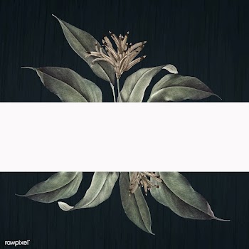 Floral white banner | Free stock vector - 595453