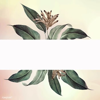 Floral white banner | Free stock vector - 595457