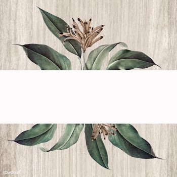 Floral white banner | Free stock vector - 595459