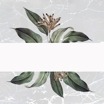 Floral white banner | Free stock vector - 595483