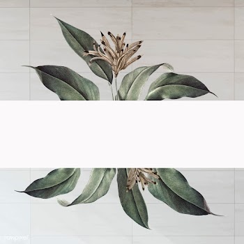 Floral white banner | Free stock vector - 595489