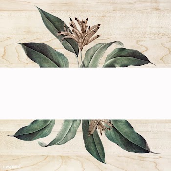 Floral white banner | Free stock vector - 595495