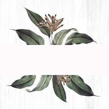Floral white banner | Free stock vector - 595497
