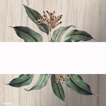 Floral white banner | Free stock vector - 595518
