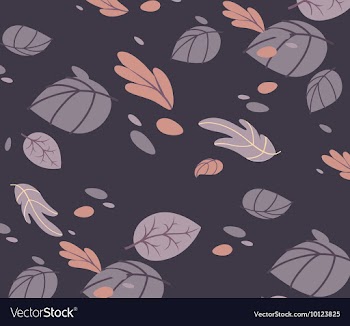 Floral with patterns vector image