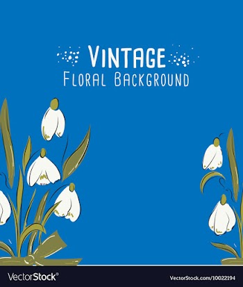 Floral with typography vector image