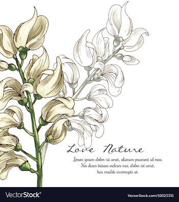 Floral with typography vector image